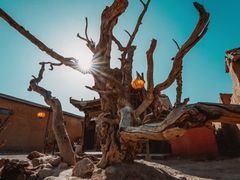 -镇北堡西部影城