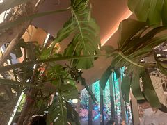 -桂满陇·海市蜃楼·黑金(国金店)