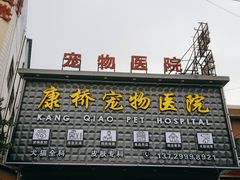 -千城康桥宠物医院·猫科·骨科·心脏