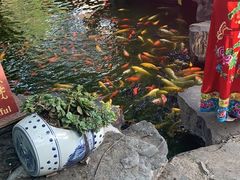 -白家大院·王府宫廷菜(苏州街店)