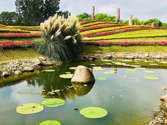 -南通洲际绿博园