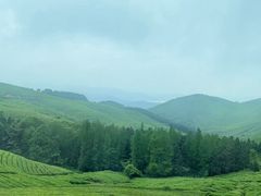 -东钱湖旅游度假区