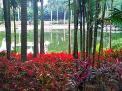 -甘家界牌柠檬鸭(青山店)