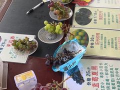 -马陆小张葡萄园农家乐