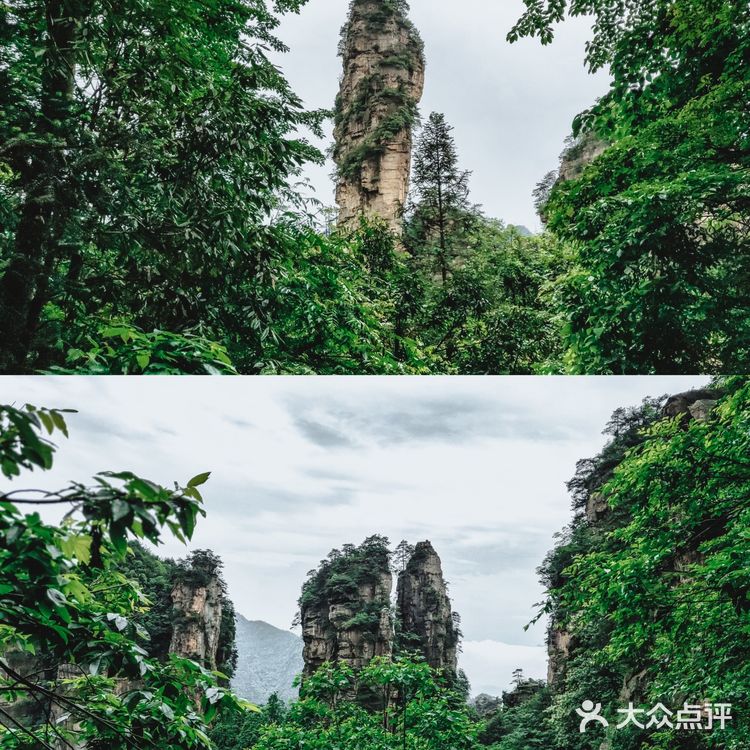 张家界国家森林公园·零基础上手轻松玩转😁