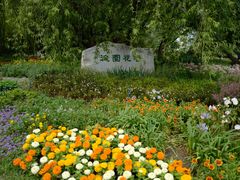 -海淀公园