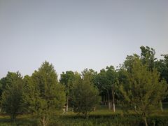 -洨河生态公园