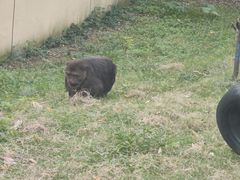 -合肥野生动物园
