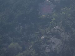 -龙口南山旅游景区