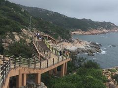 -广东惠东海龟国家级自然保护区