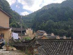 -杨家堂村
