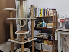 -美联众合动物医院·内科·皮肤科·外科(古城分院)