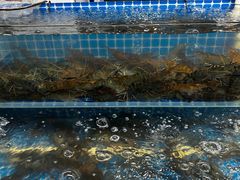 -京深海鲜市场(光彩路店)