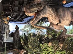 -陕西自然博物馆