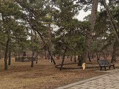 -沈阳市东陵公园