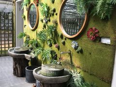 -桉树林A coffee 森林餐厅(三圣乡店)