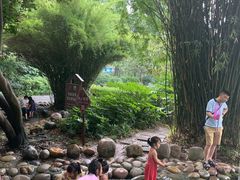 -成都市活水公园