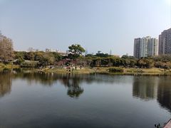 -四海公园(南山区)
