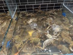 -海玥荟海鲜姿造自助餐厅(欧罗巴广场店)