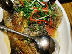 葱油石斑鱼-潮中人·潮州菜(益乐路店)