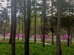 -黑龙江省森林植物园