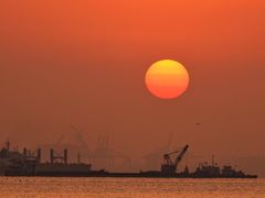 -上海吴淞炮台湾国家湿地公园
