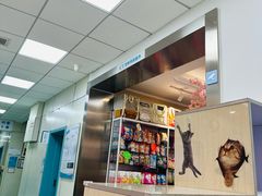 -北京观赏动物医院·24小时大型综合·猫专科·异宠专科