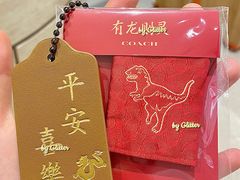 -COACH蔻驰(星光68广场店)