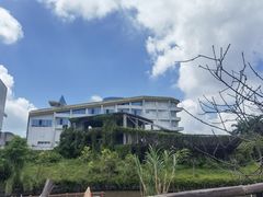 -百万葵园