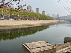-桃花堤公园