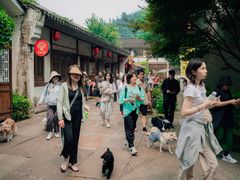 -天目湖山水园