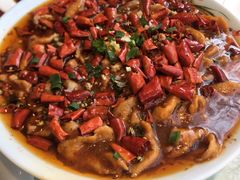 传统水煮肉-八珍饺子·烤鸭·家常菜
