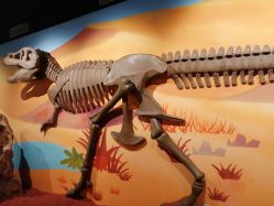 -北京科学中心儿童乐园