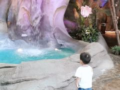 -杭州开元森泊度假乐园