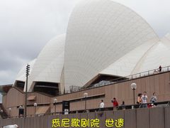 -黄金海岸