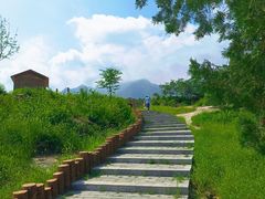 -白水寺森林公园