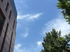 -天幕新彩云国际影城(激光巨幕店)