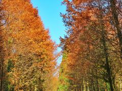 -山王坪喀斯特国家生态公园
