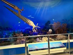 -国家自然博物馆