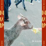 能玩一整天的曙光水镇