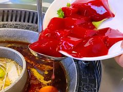 鲜鸭血-晓宇重庆火锅(赛格国际购物中心店)