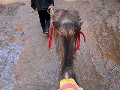 -天山神秘大峡谷