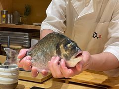 -镹·鱼料理  国产鱼使用店