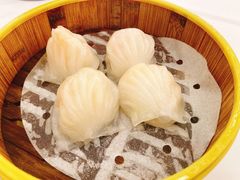 圣丰虾饺皇-圣丰城酒家·宴会(宝安大仟里店)