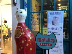 -猫咪博物馆(顶澳仔猫街店)