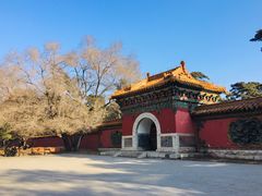 -北陵公园
