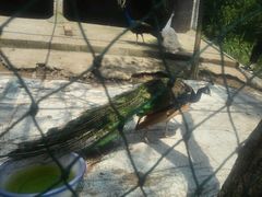 -徽州美食(三十年老店)