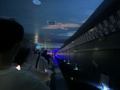 -白鹤梁水下博物馆