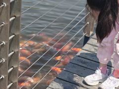 -昆山城市生态森林公园