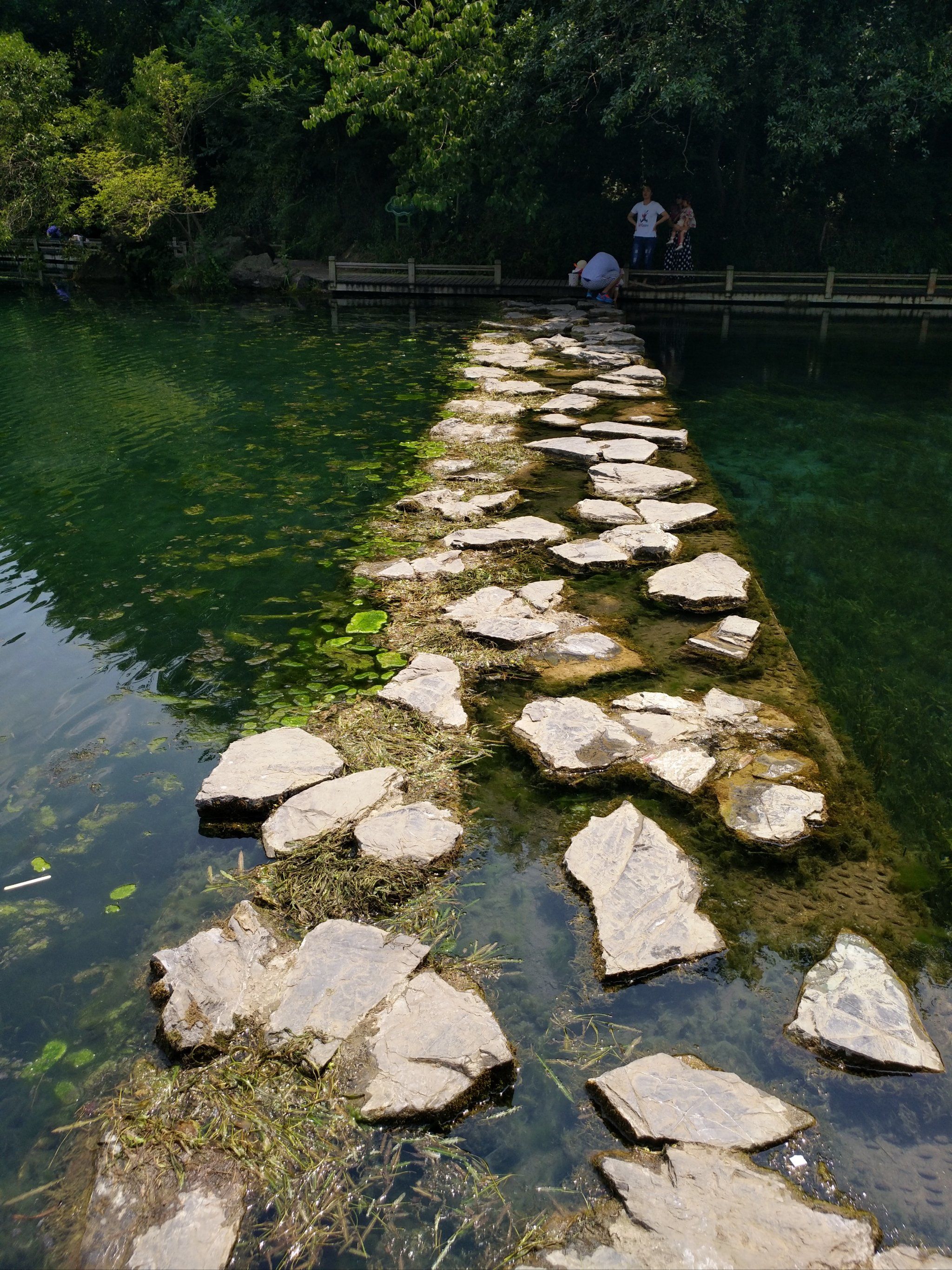 「南京珍珠泉风景区」
上一次去珍珠泉还是2018年,珍珠泉园区占地